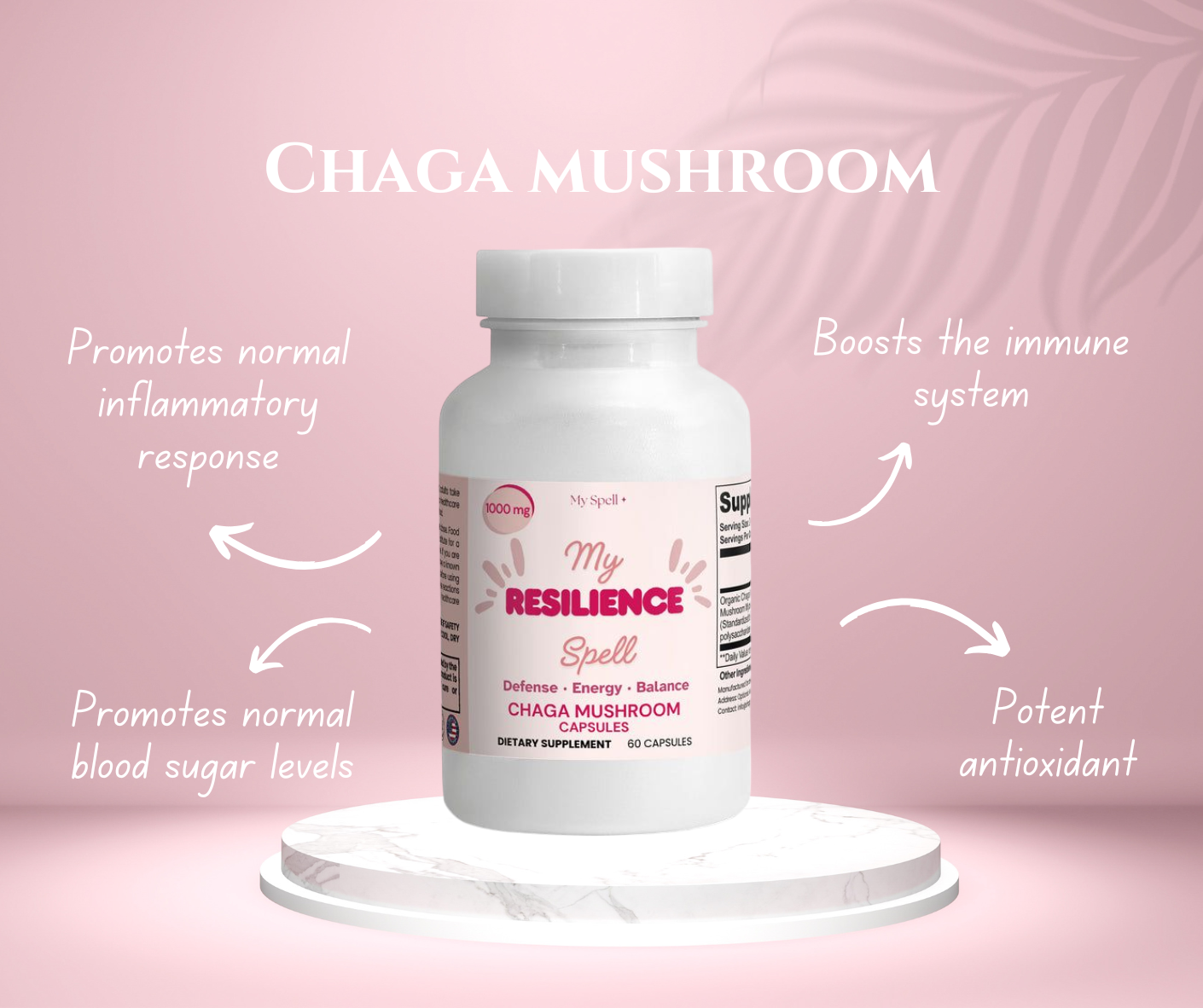 Chaga Mushroom Capsules