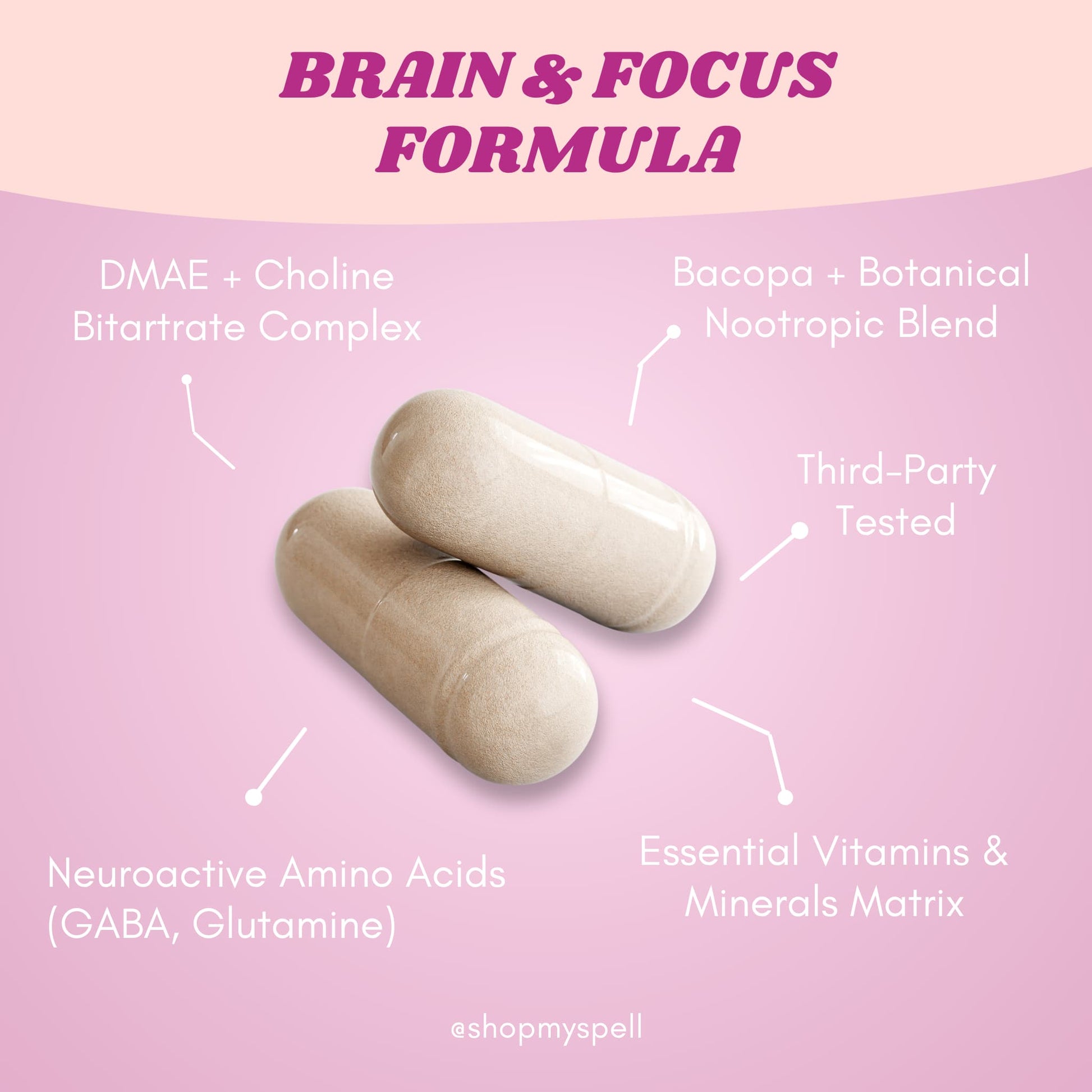 Two My Spell Supplements capsules labeled 'Brain & Focus Formula' with ingredients listed on a pink background.