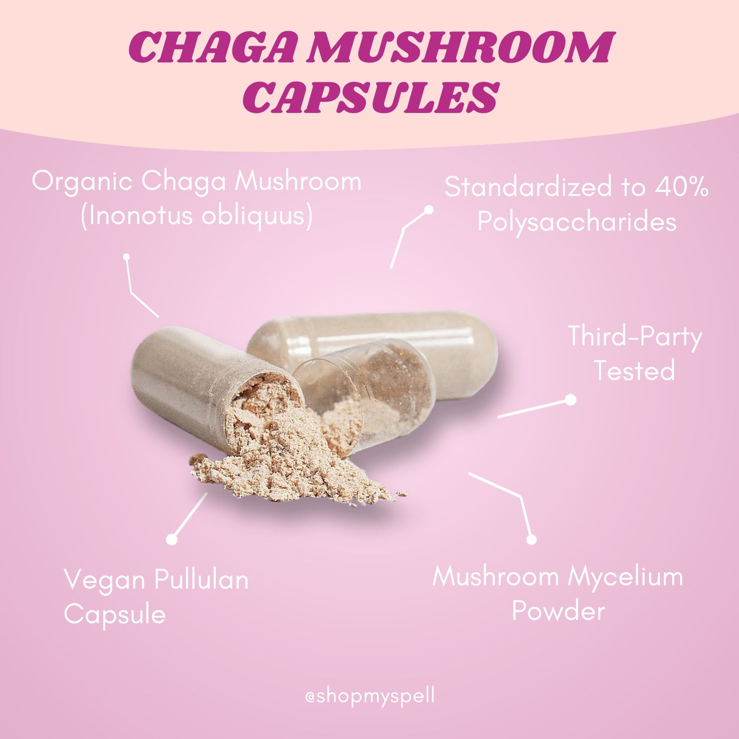 My Spell Supplements Chaga mushroom capsules with text detailing ingredients and benefits on a pink background