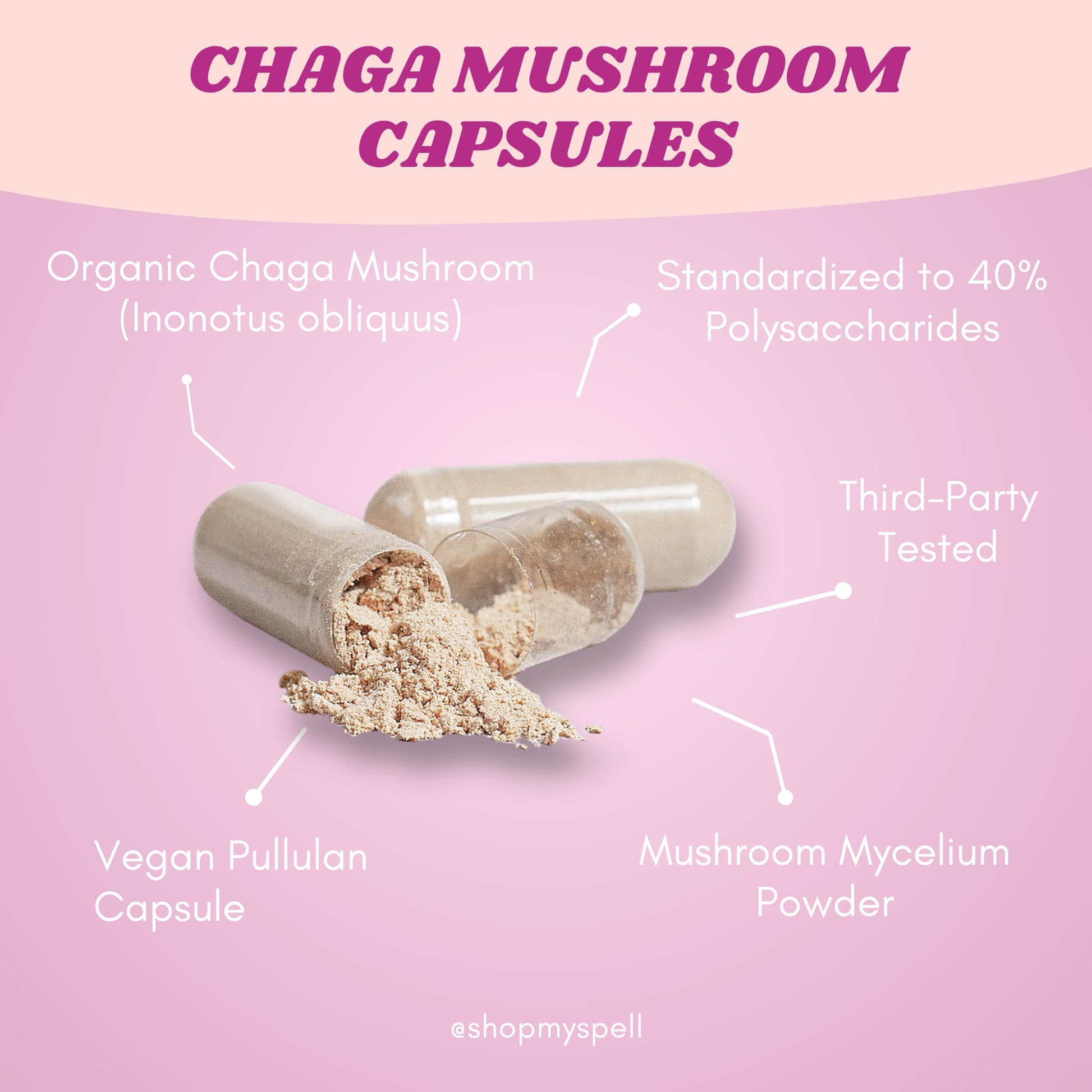 My Spell Supplements Chaga mushroom capsules with text detailing ingredients and benefits on a pink background