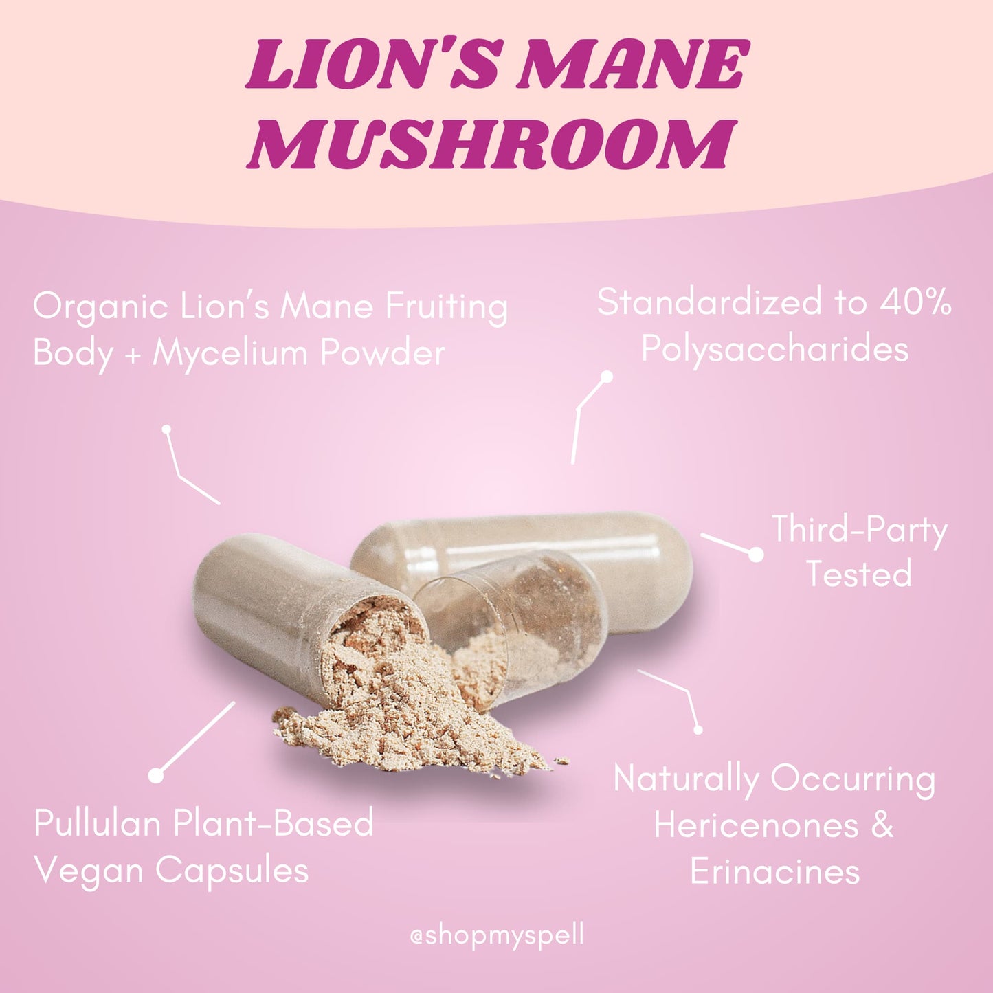 My Spell Supplements capsules with powder labeled 'Lion's Mane Mushroom' on a pink background with text about the product.