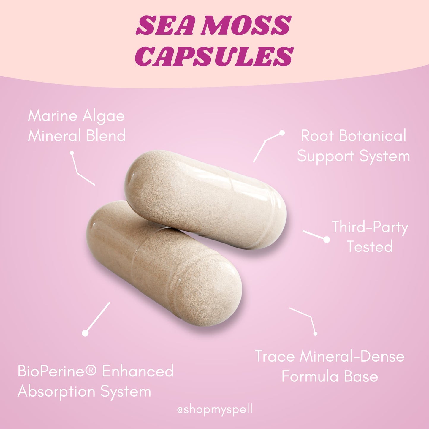 My Spell Supplements two sea moss capsules on a pink background with text highlighting features.